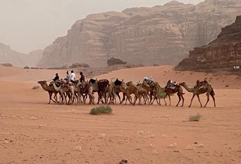 Wadi Rum Trail 외부 사진