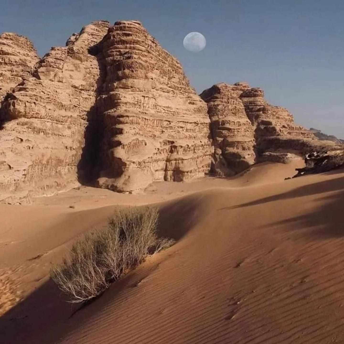 Wadi Rum Trail 외부 사진